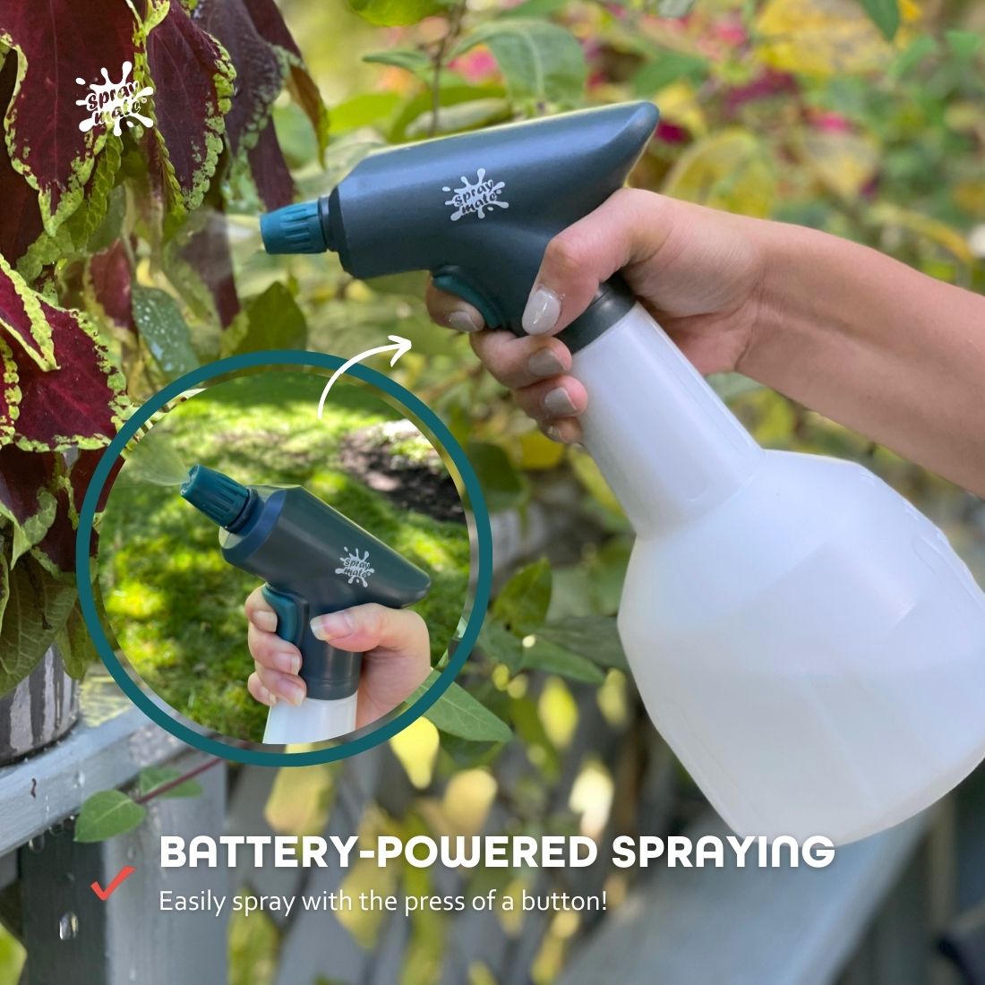 spraying outdoor plant with spritz